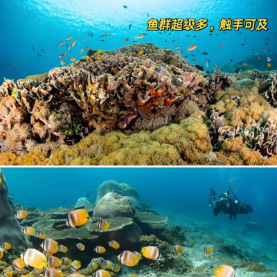 【乐享】暑期巴厘岛纯玩 5晚7日